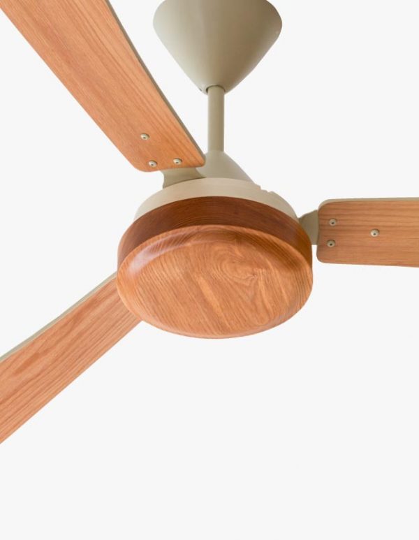 classic ceiling fan